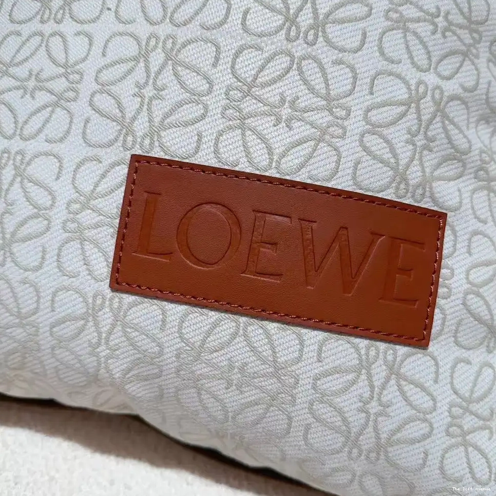 THROW LOEWE PILLOW 0608